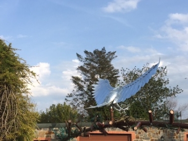 Galvanized steel sculpture of an eagle