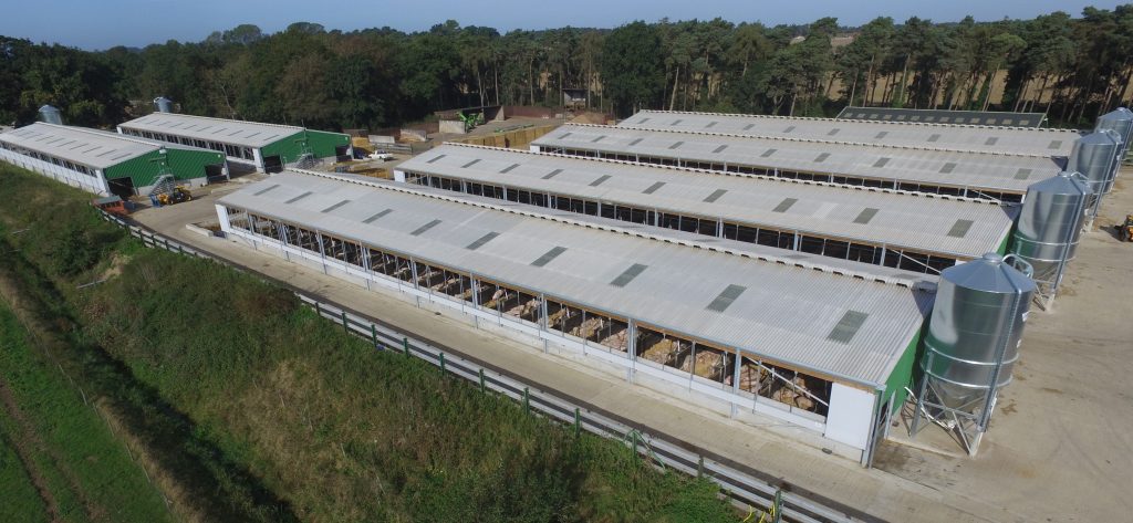 Farm buildings after hot dip galvanising