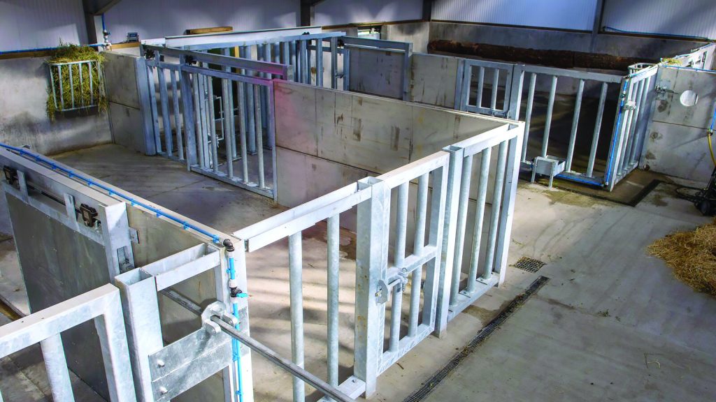 Galvanized rhino enclosure at Folly Farm