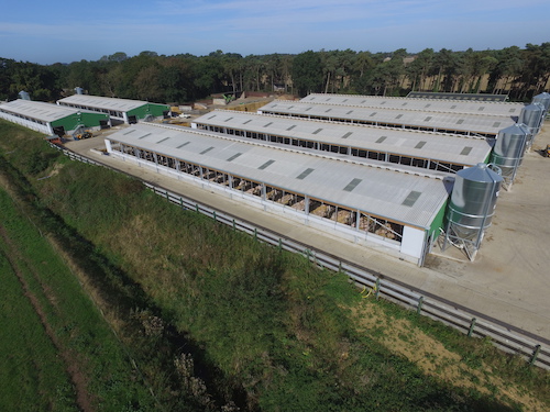 Galvanized farm buildings top down