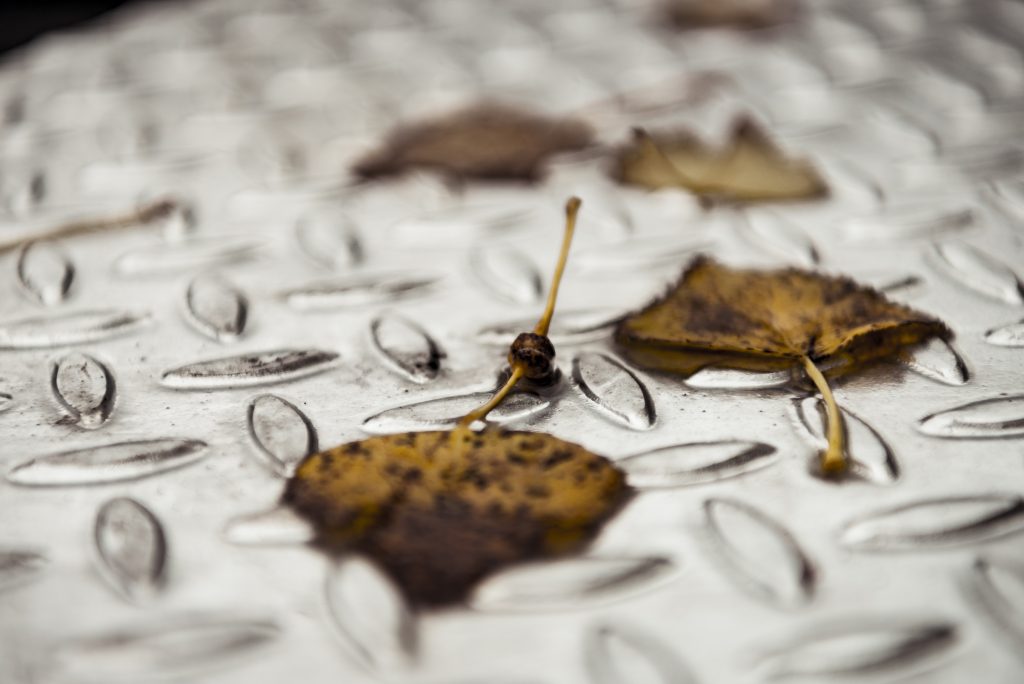 Leaves on galvanized flooring