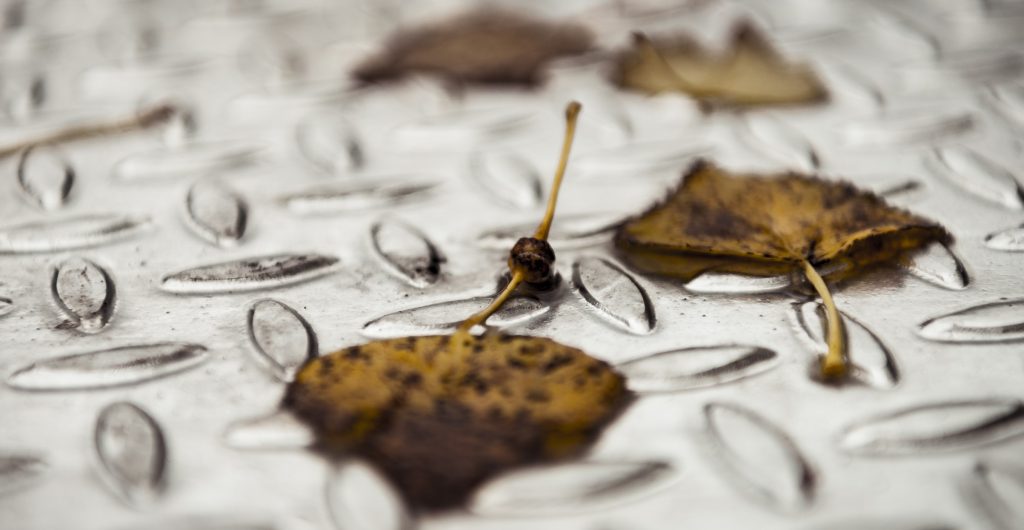 Leaves on galvanized steel flooring